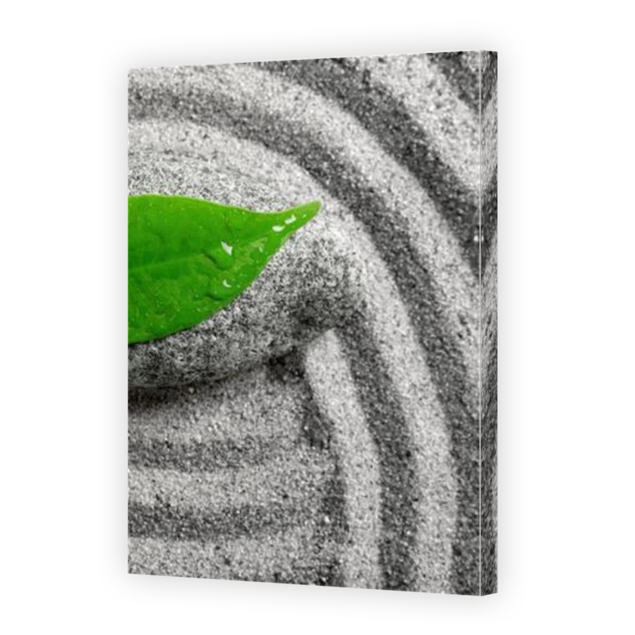 Thumbnail for Canvas - Mirror Image Canvas Wrap