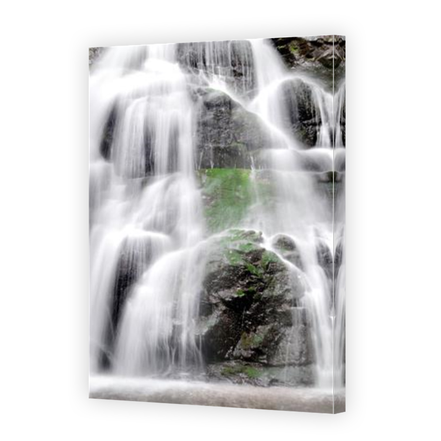 Thumbnail for Canvas - Mirror Image Canvas Wrap