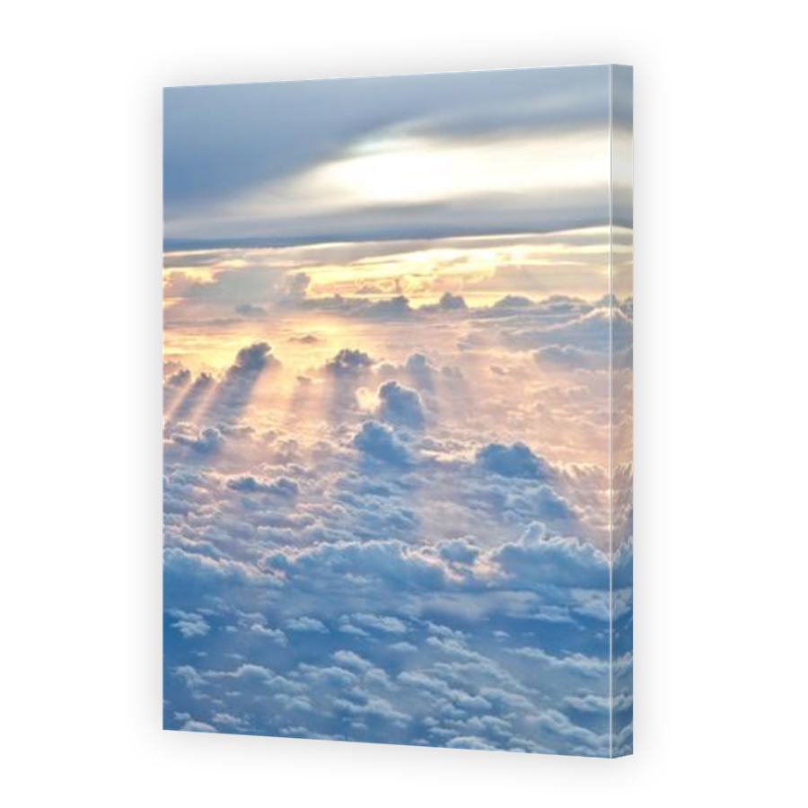 Thumbnail for Canvas - Mirror Image Canvas Wrap