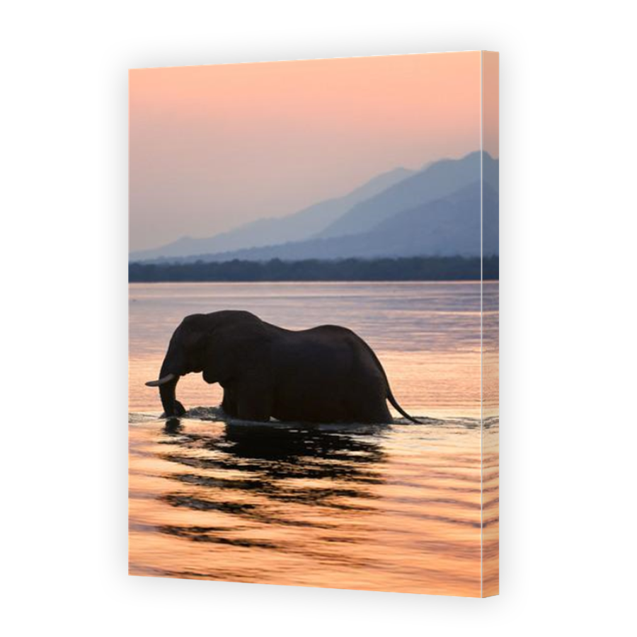 Thumbnail for Canvas - Mirror Image Canvas Wrap