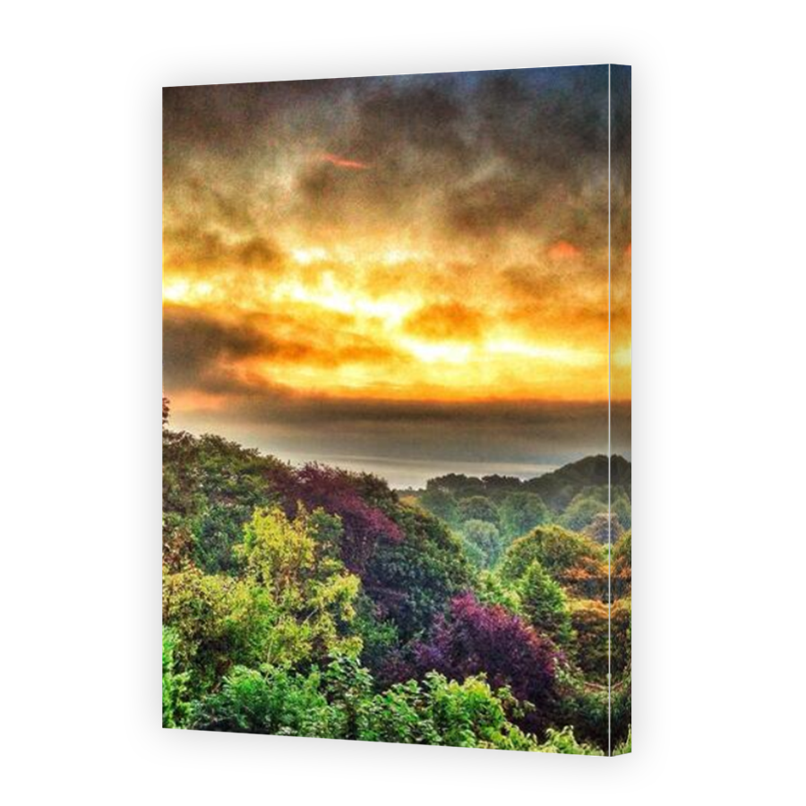 Thumbnail for Canvas - Mirror Image Canvas Wrap