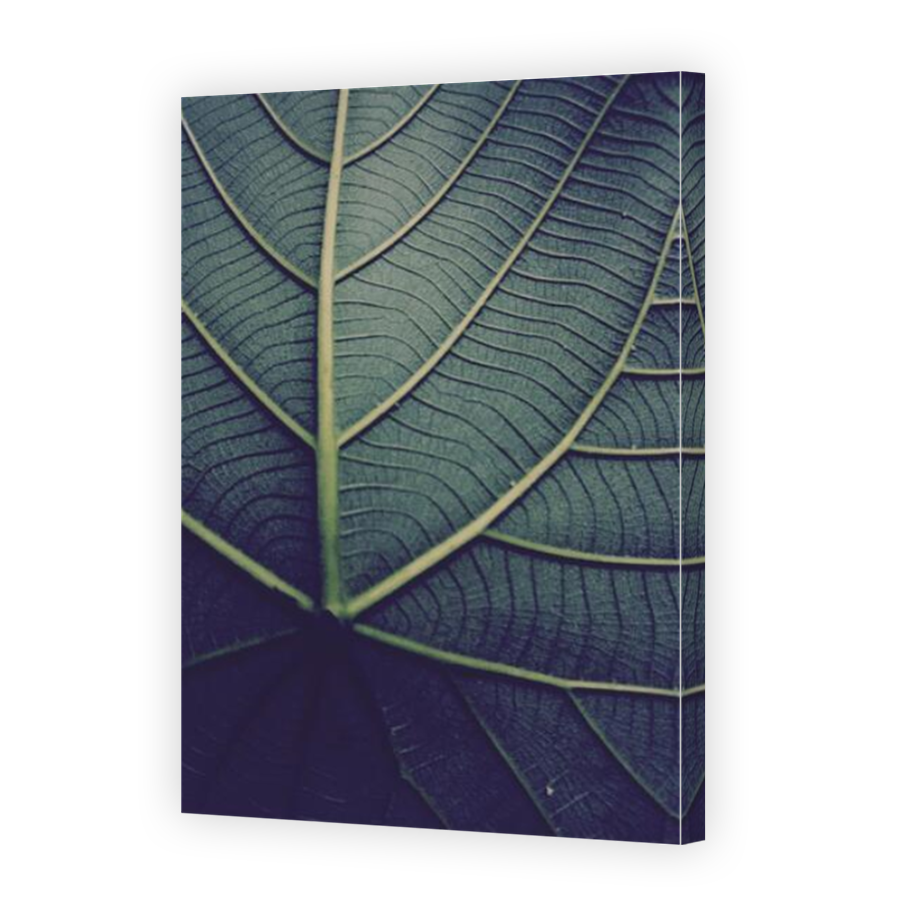 Thumbnail for Canvas - Mirror Image Canvas Wrap