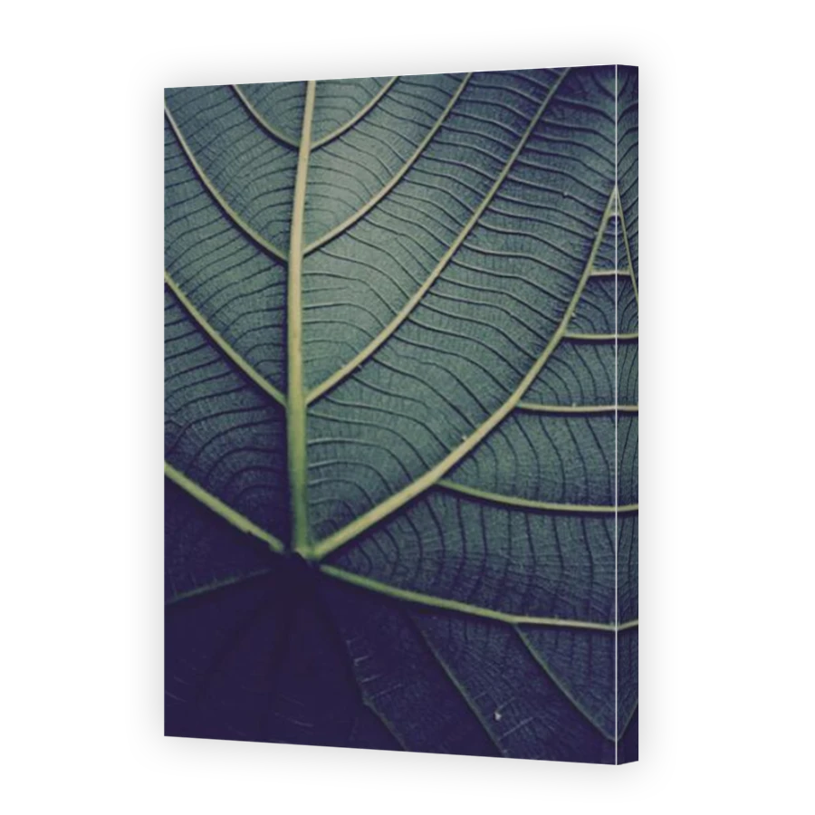 Thumbnail for Canvas - Mirror Image Canvas Wrap