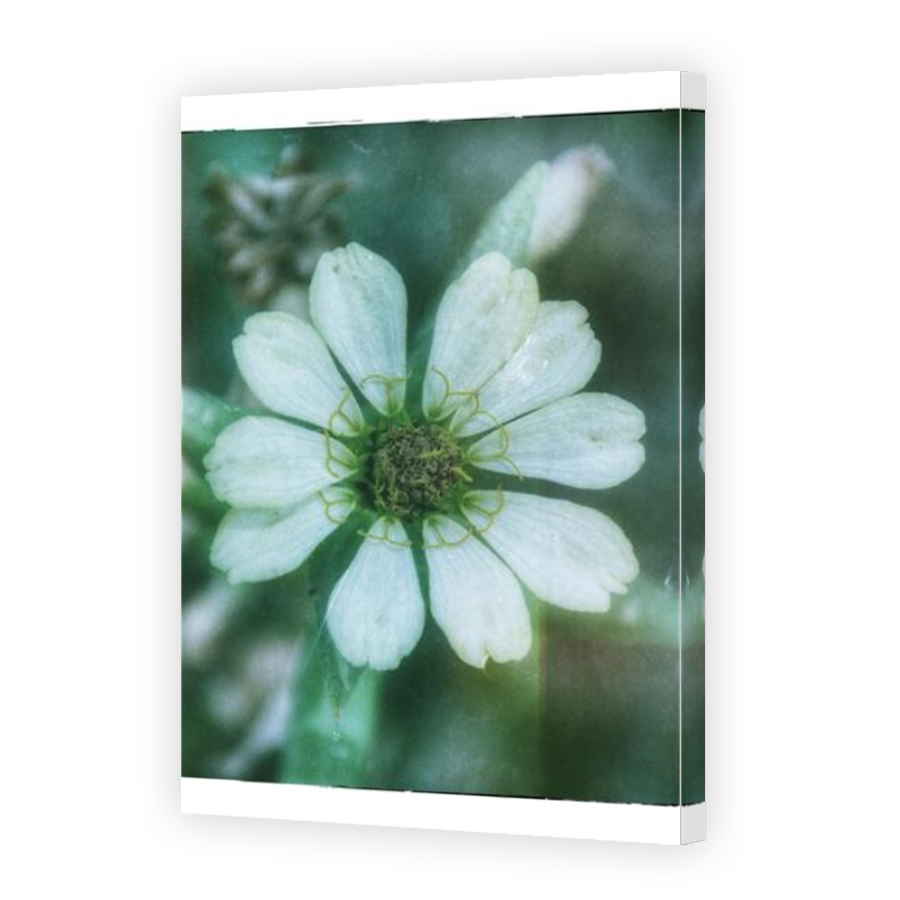 Thumbnail for Canvas - Mirror Image Canvas Wrap