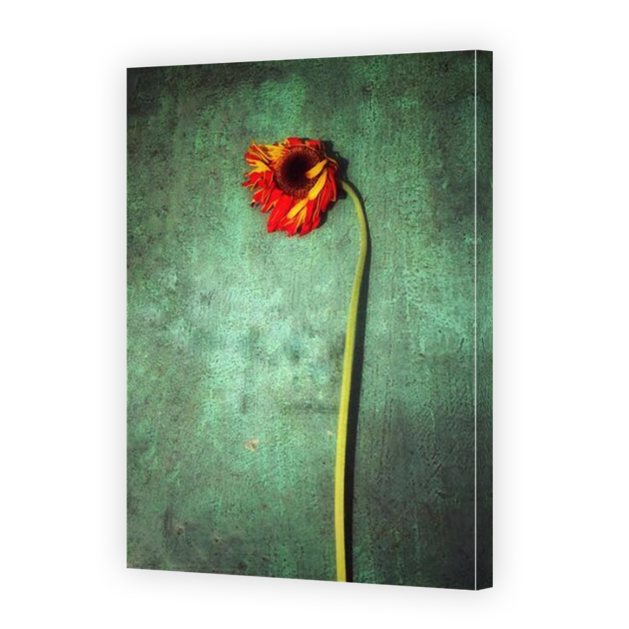 Thumbnail for Canvas - Mirror Image Canvas Wrap
