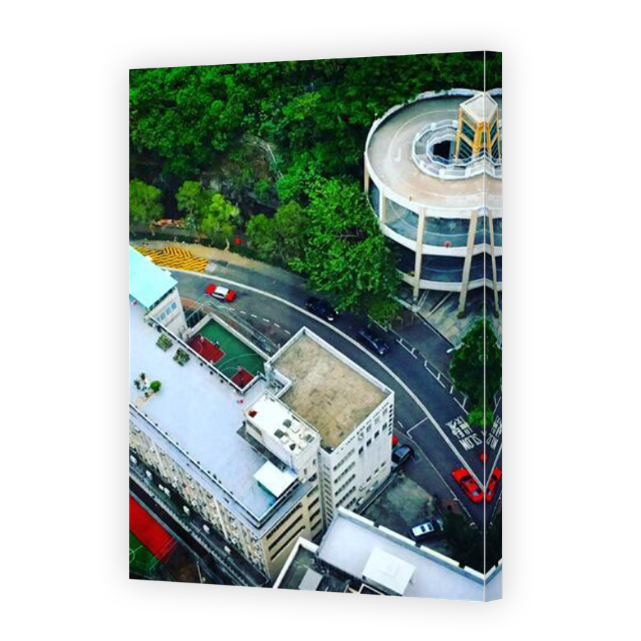 Thumbnail for Canvas - Mirror Image Canvas Wrap