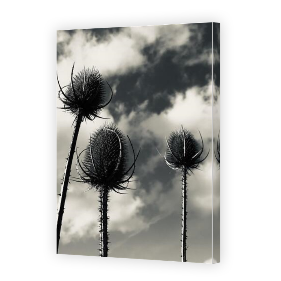 Thumbnail for Canvas - Mirror Image Canvas Wrap