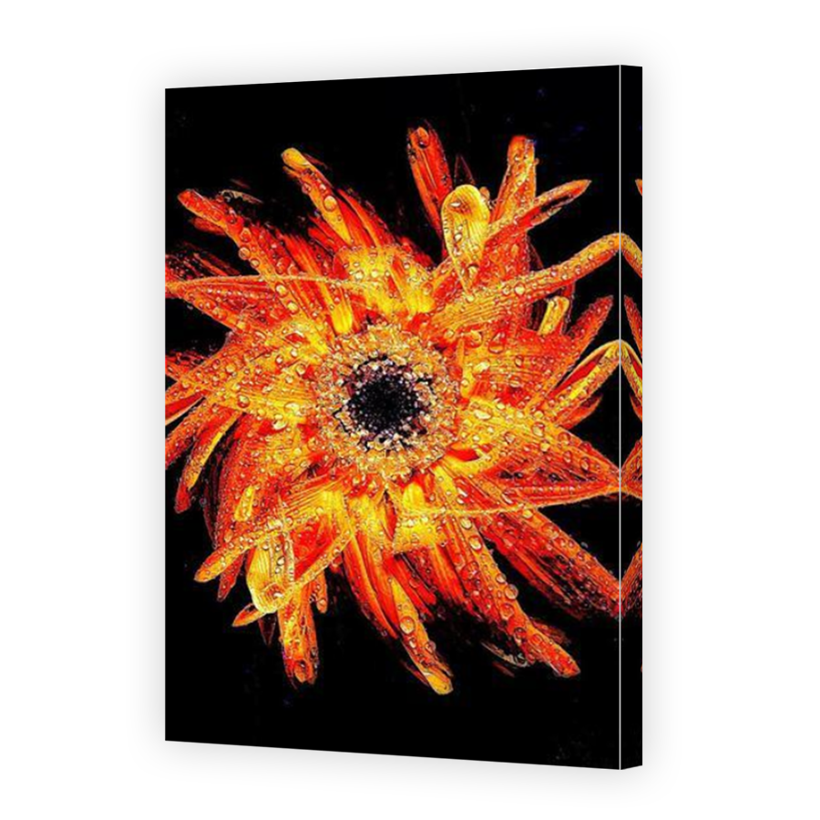Thumbnail for Canvas - Mirror Image Canvas Wrap