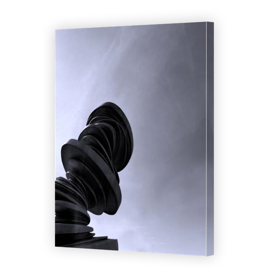 Thumbnail for Canvas - Mirror Image Canvas Wrap