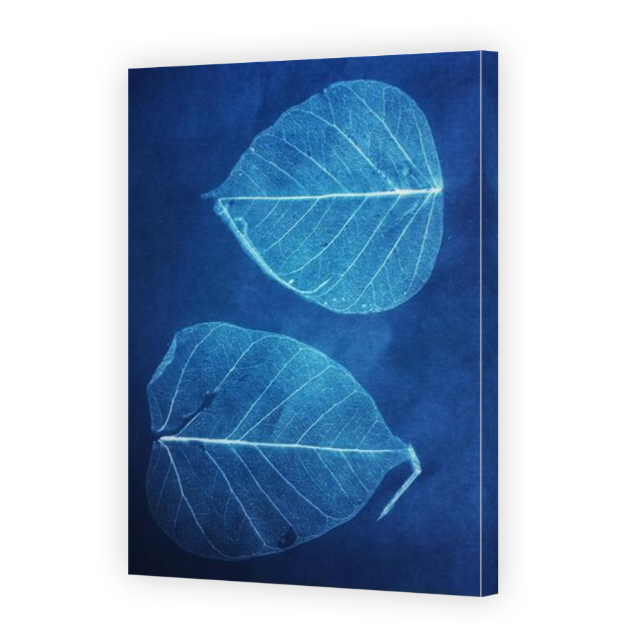 Thumbnail for Canvas - Mirror Image Canvas Wrap