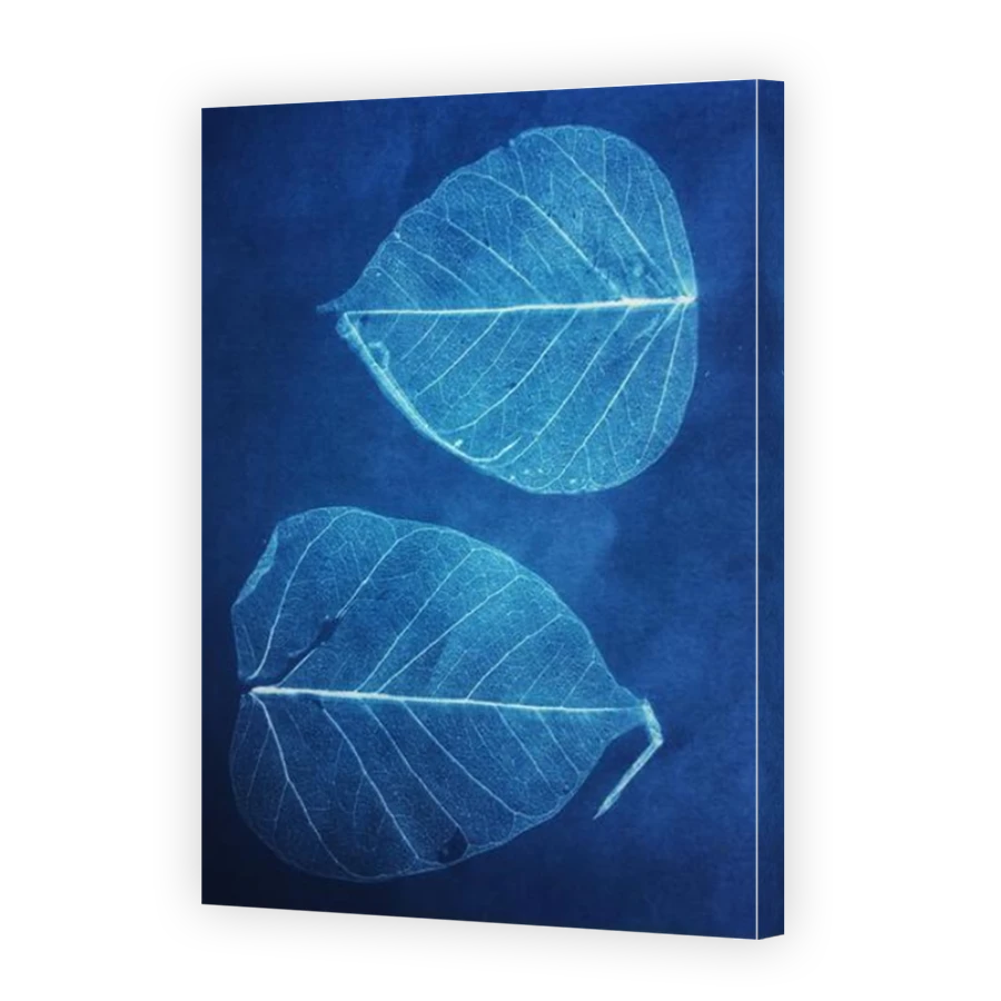 Thumbnail for Canvas - Mirror Image Canvas Wrap