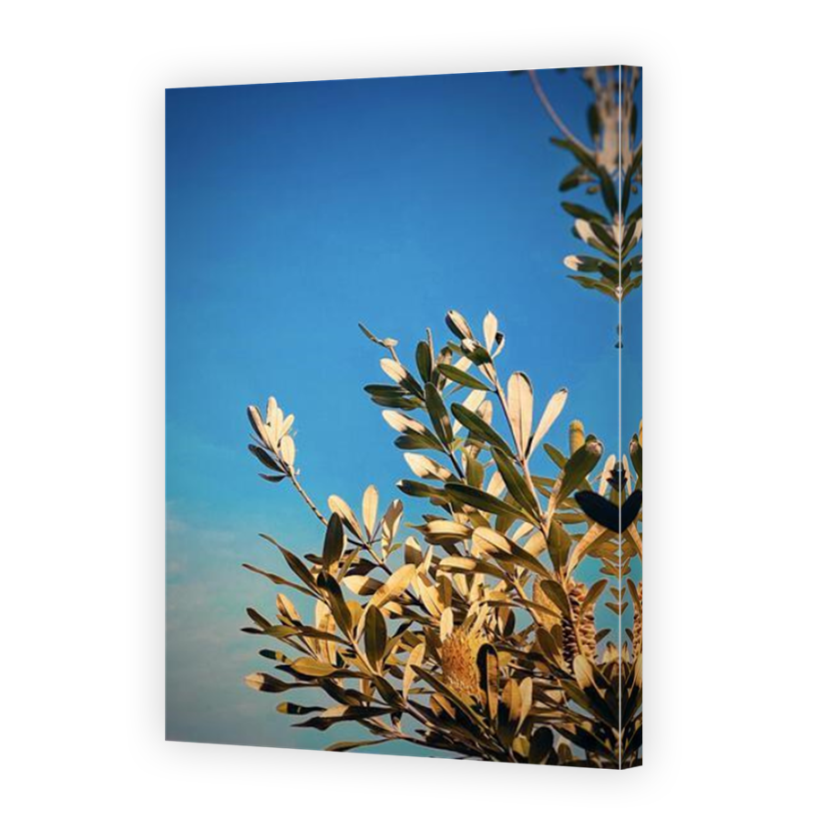Thumbnail for Canvas - Mirror Image Canvas Wrap