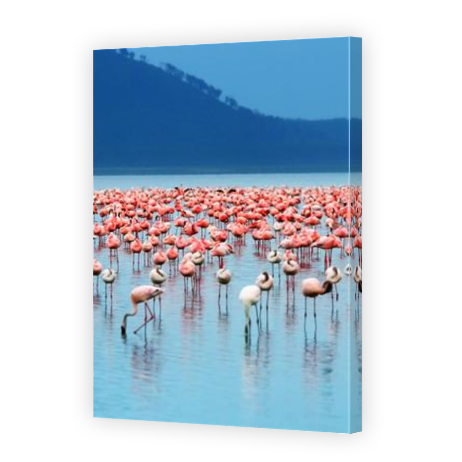 Thumbnail for Canvas - Mirror Image Canvas Wrap