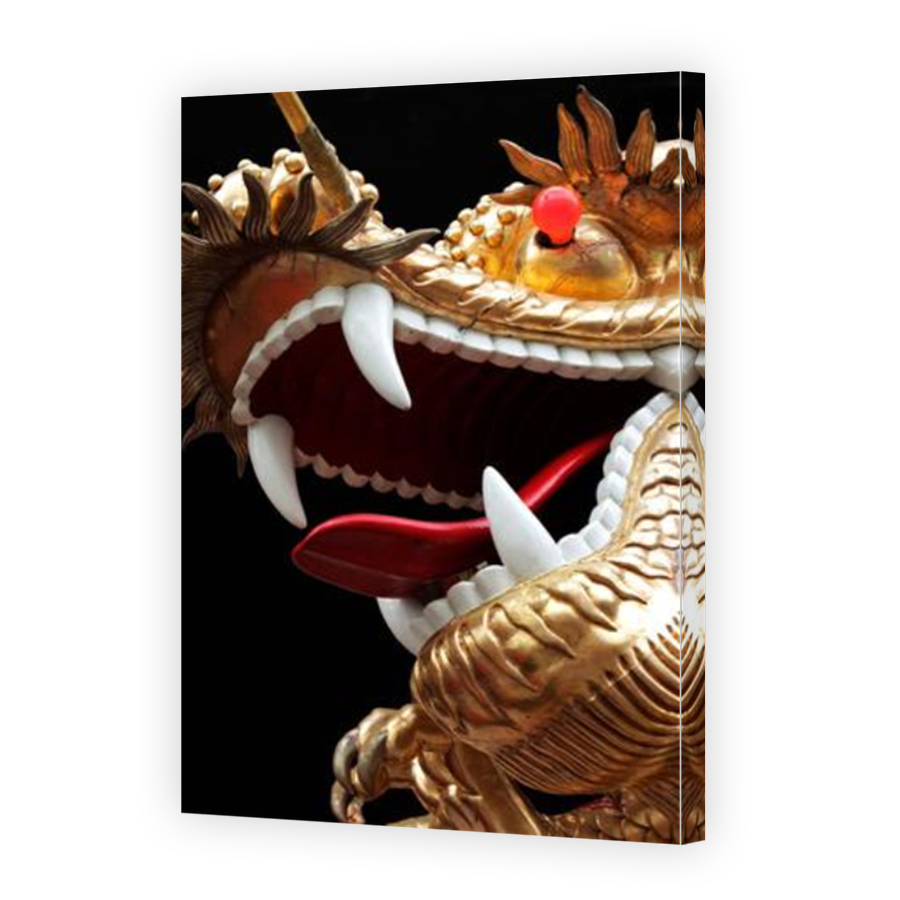 Thumbnail for Canvas - Mirror Image Canvas Wrap