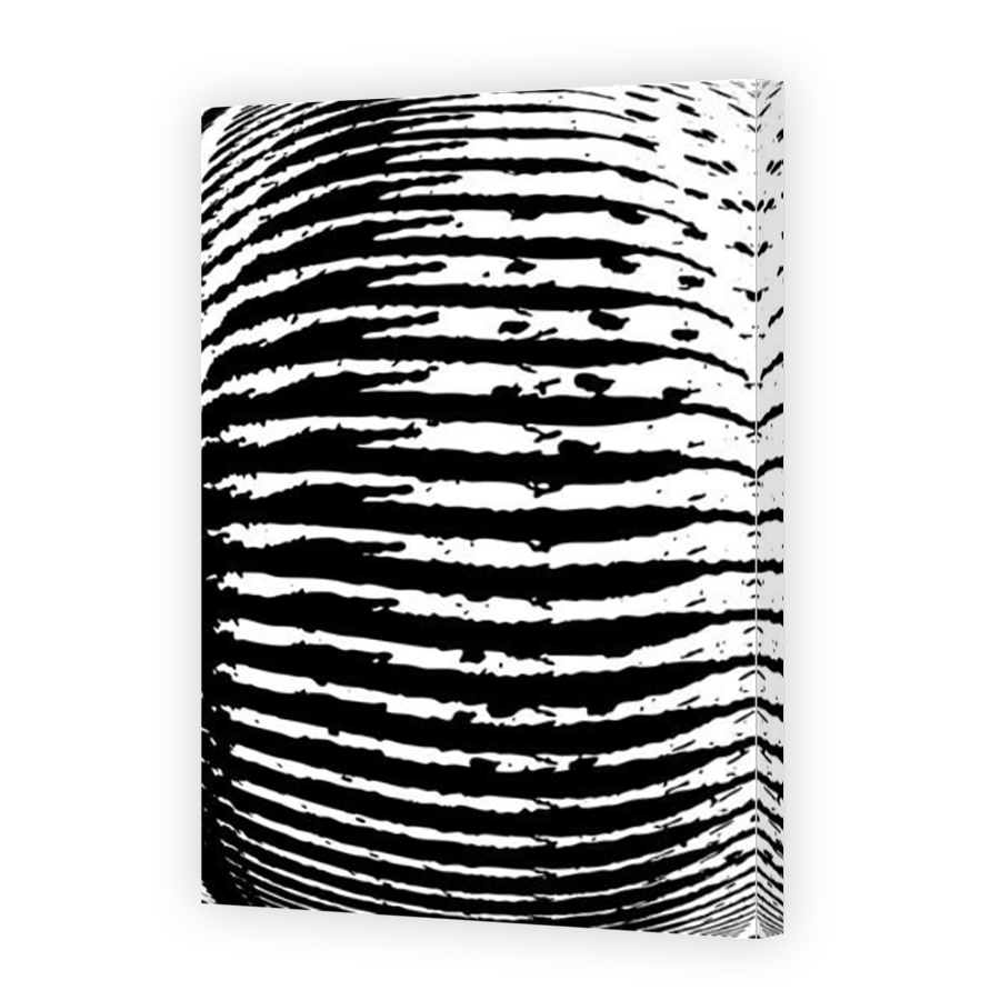 Thumbnail for Canvas - Mirror Image Canvas Wrap