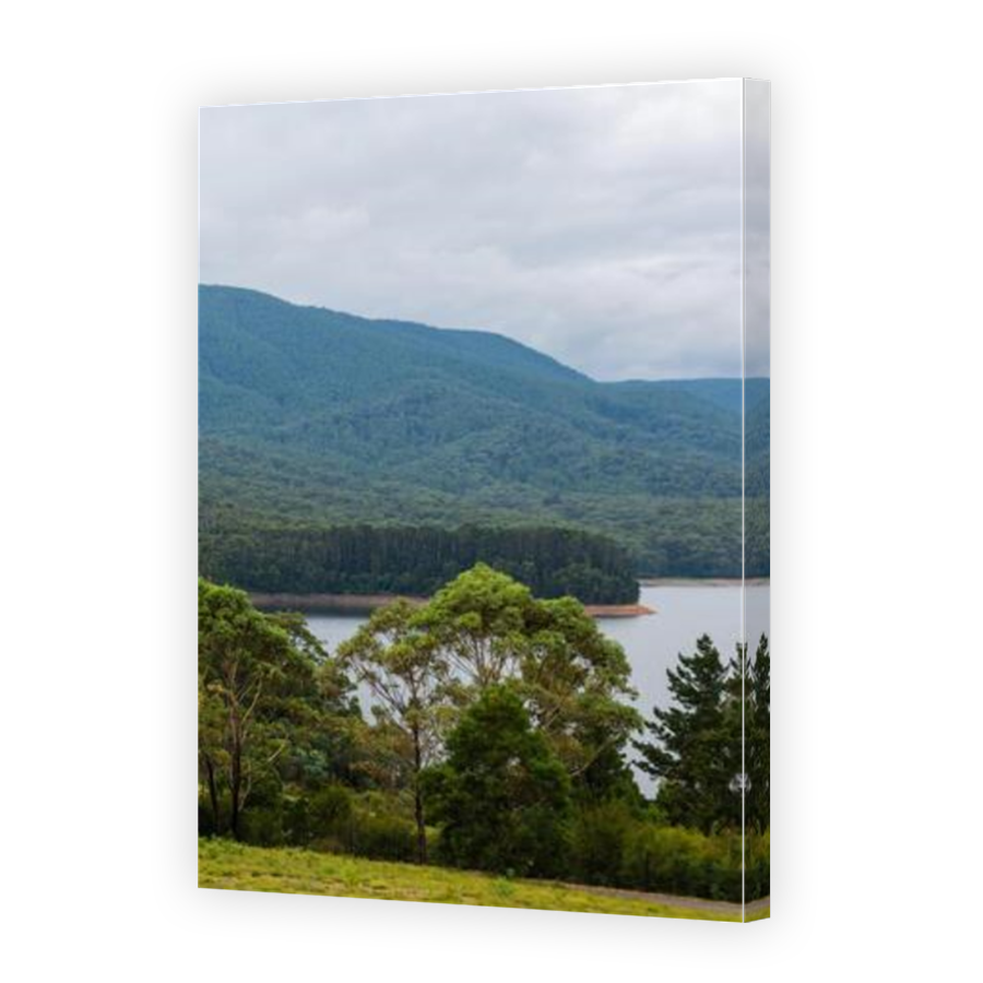 Thumbnail for Canvas - Mirror Image Canvas Wrap