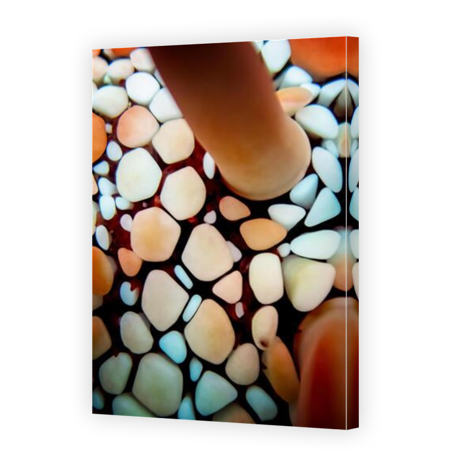 Thumbnail for Canvas - Mirror Image Canvas Wrap