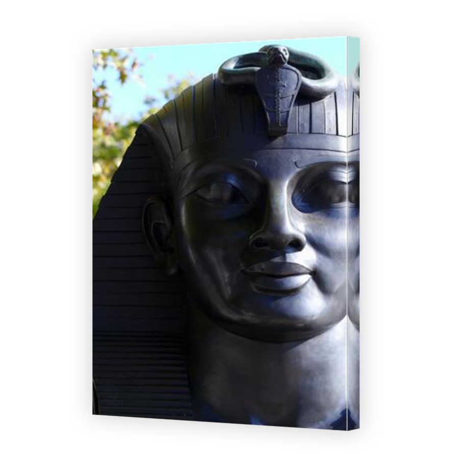 Thumbnail for Canvas - Mirror Image Canvas Wrap