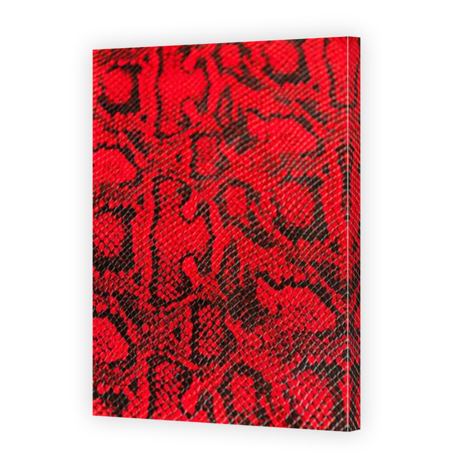 Thumbnail for Canvas - Mirror Image Canvas Wrap