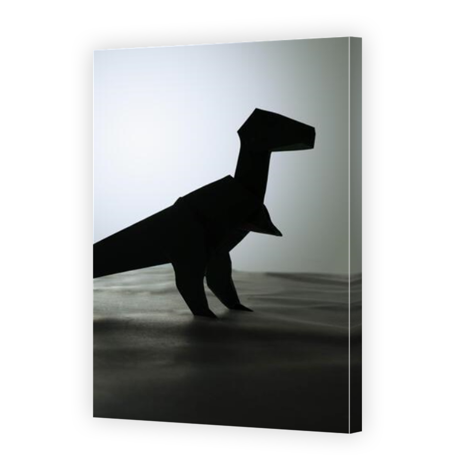 Thumbnail for Canvas - Mirror Image Canvas Wrap
