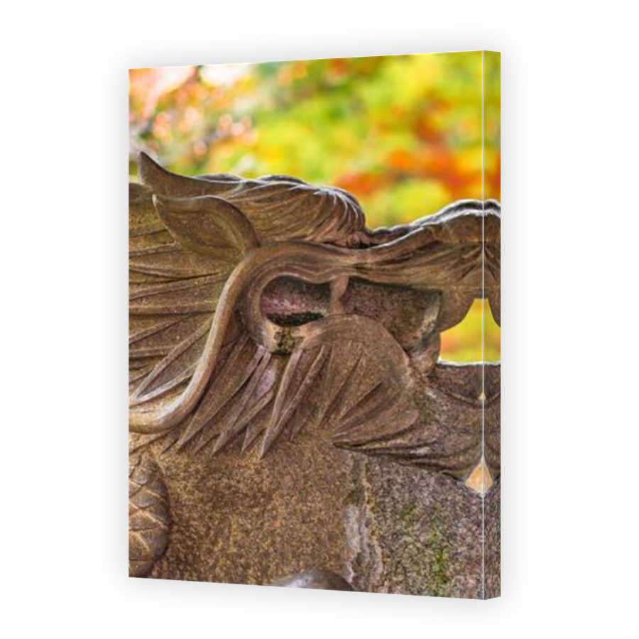 Thumbnail for Canvas - Mirror Image Canvas Wrap