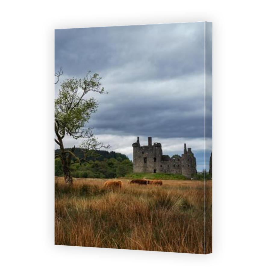 Thumbnail for Canvas - Mirror Image Canvas Wrap