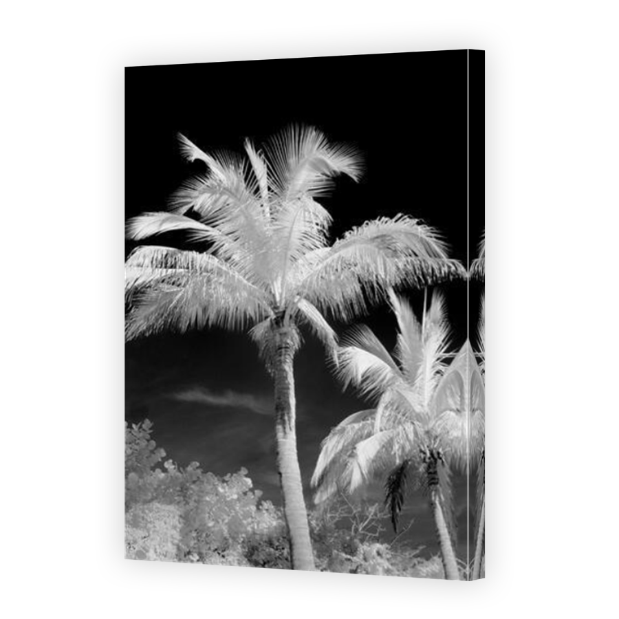 Thumbnail for Canvas - Mirror Image Canvas Wrap