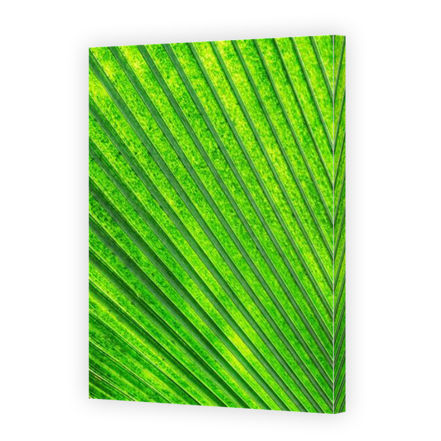 Thumbnail for Canvas - Mirror Image Canvas Wrap