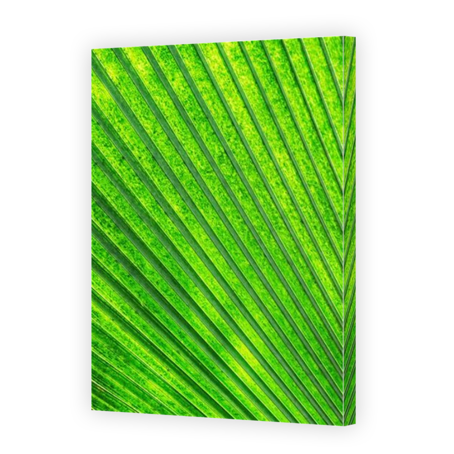 Thumbnail for Canvas - Mirror Image Canvas Wrap