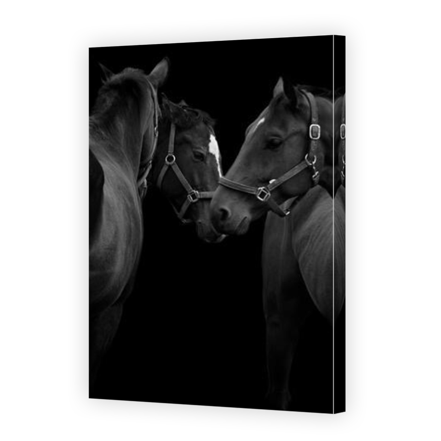 Thumbnail for Canvas - Mirror Image Canvas Wrap