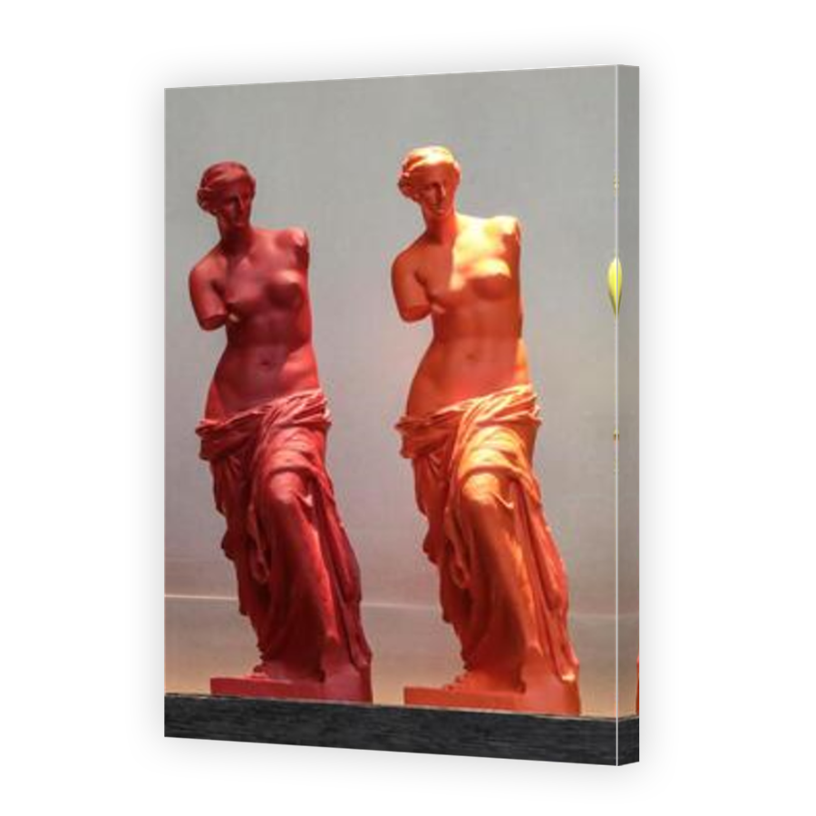 Thumbnail for Canvas - Mirror Image Canvas Wrap