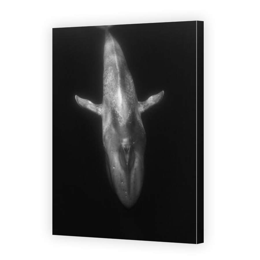 Thumbnail for Canvas - Mirror Image Canvas Wrap