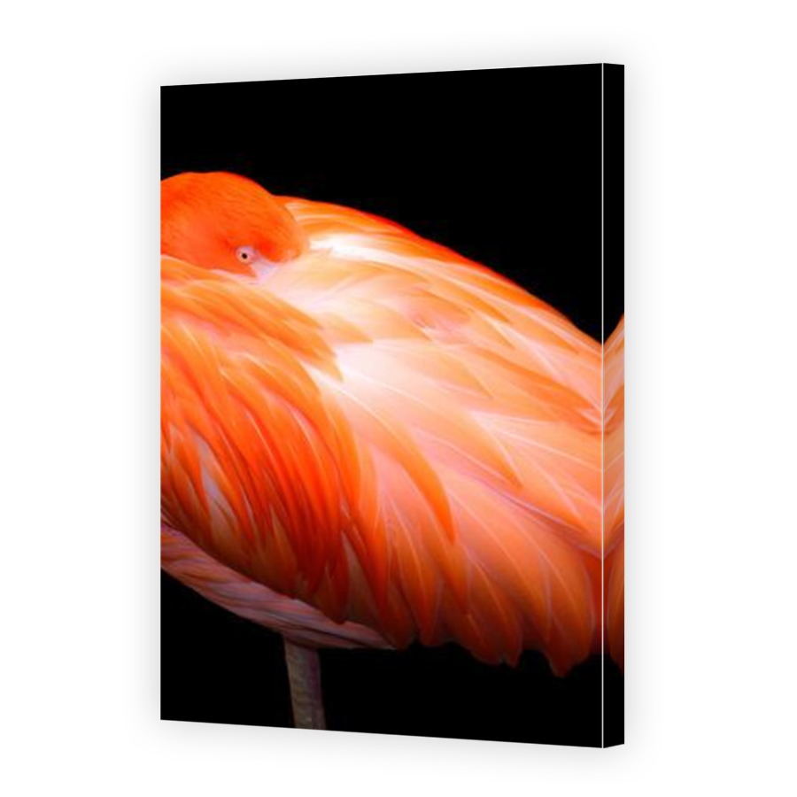 Thumbnail for Canvas - Mirror Image Canvas Wrap
