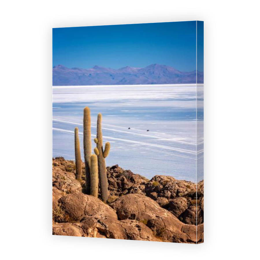 Thumbnail for Canvas - Mirror Image Canvas Wrap