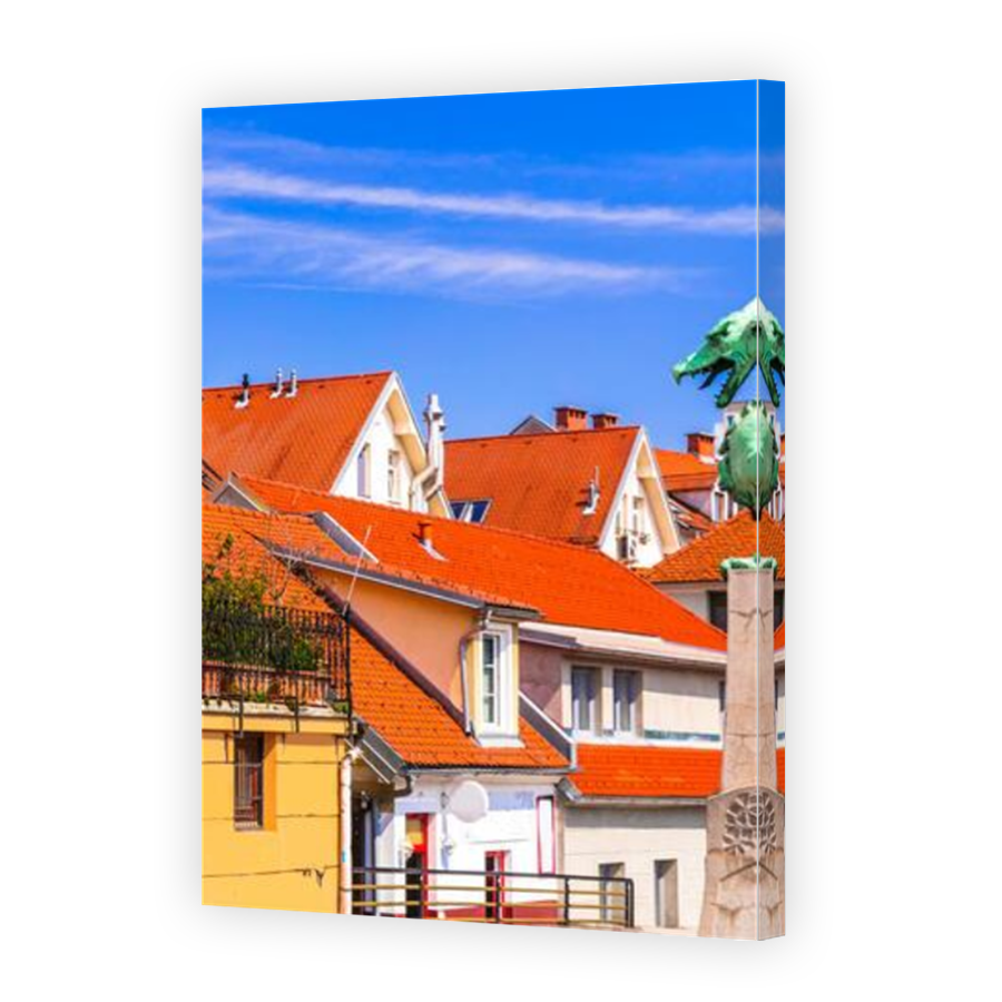Thumbnail for Canvas - Mirror Image Canvas Wrap