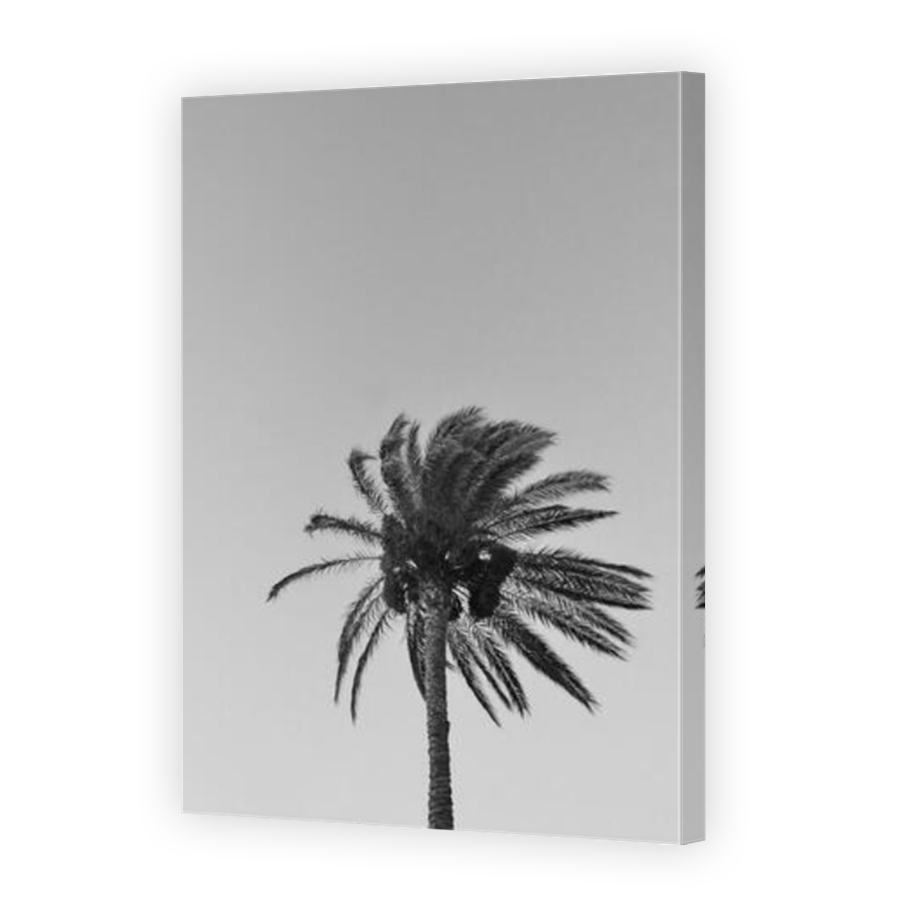 Thumbnail for Canvas - Mirror Image Canvas Wrap