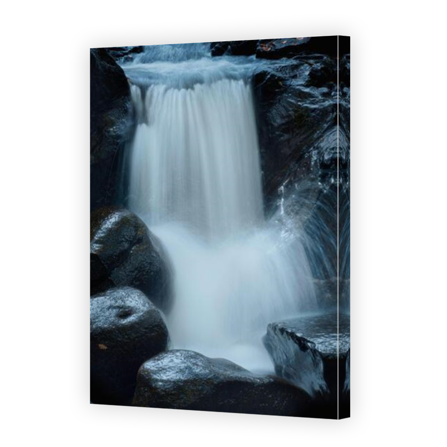 Thumbnail for Canvas - Mirror Image Canvas Wrap