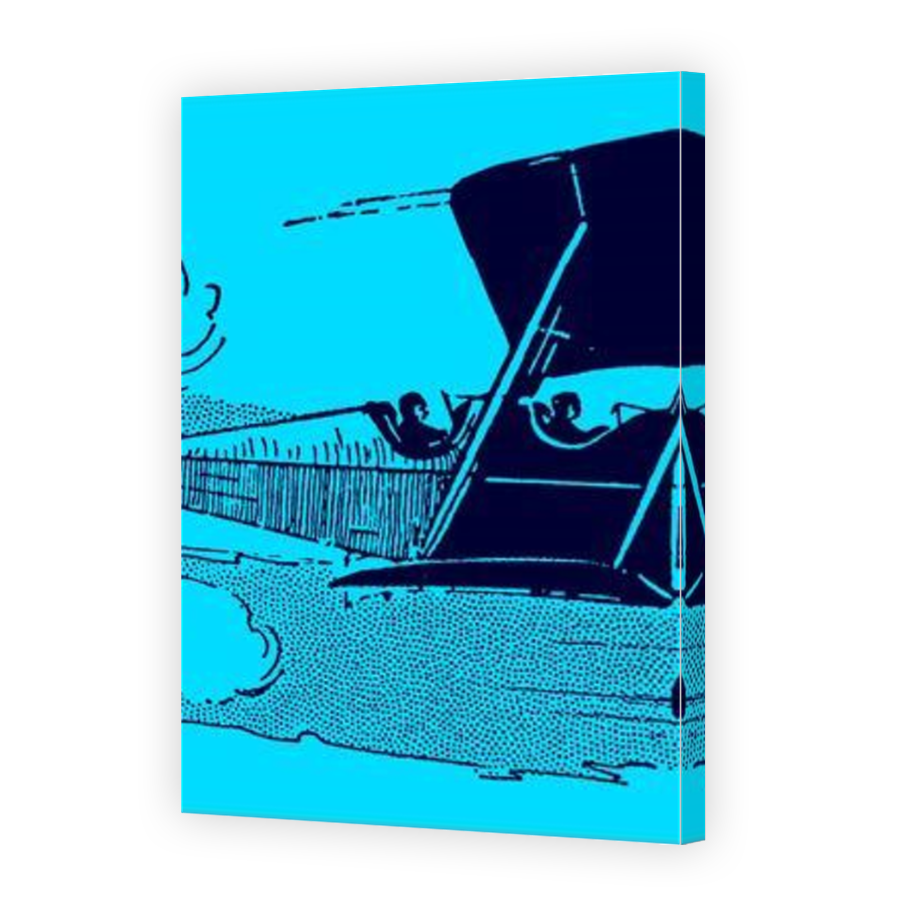 Thumbnail for Canvas - Mirror Image Canvas Wrap