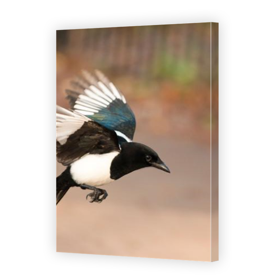 Thumbnail for Canvas - Mirror Image Canvas Wrap
