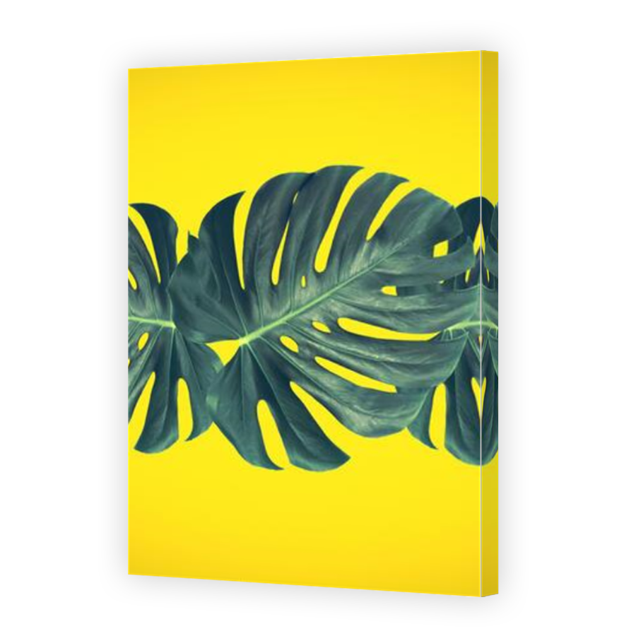 Thumbnail for Canvas - Mirror Image Canvas Wrap