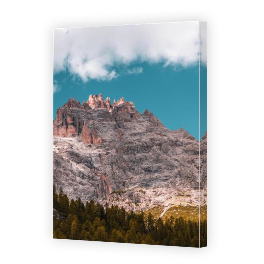 Thumbnail for Canvas - Mirror Image Canvas Wrap