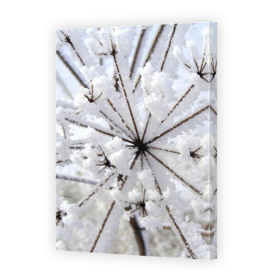 Thumbnail for Canvas - Mirror Image Canvas Wrap