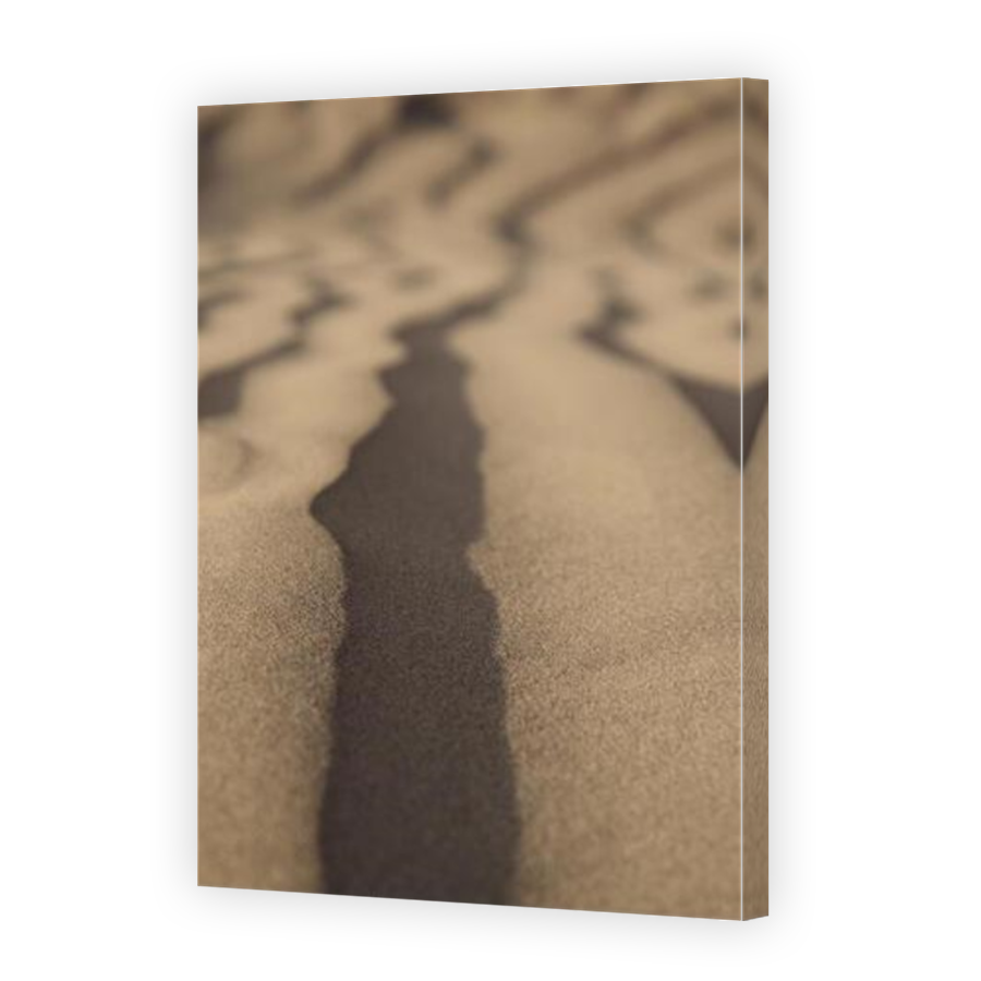 Thumbnail for Canvas - Mirror Image Canvas Wrap