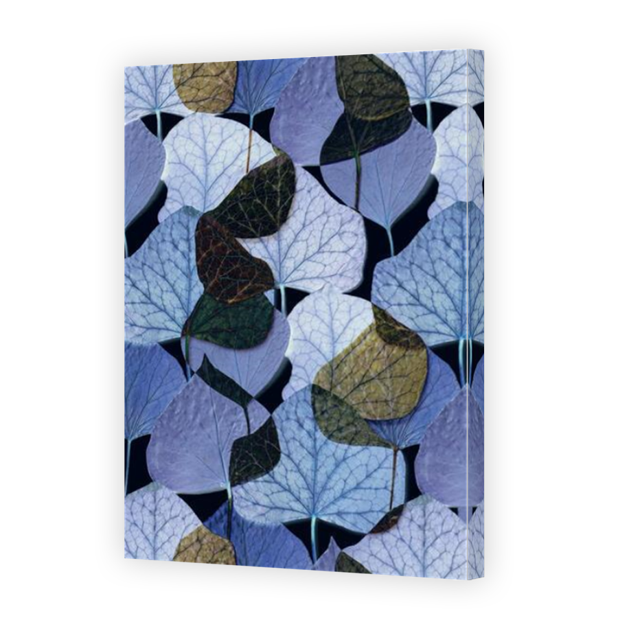 Thumbnail for Canvas - Mirror Image Canvas Wrap