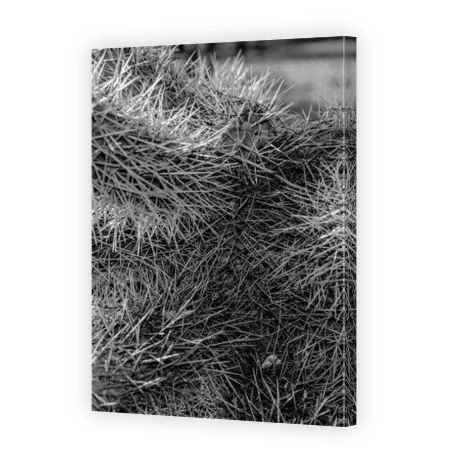 Thumbnail for Canvas - Mirror Image Canvas Wrap