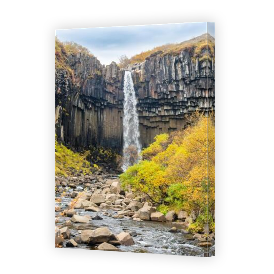Thumbnail for Canvas - Mirror Image Canvas Wrap