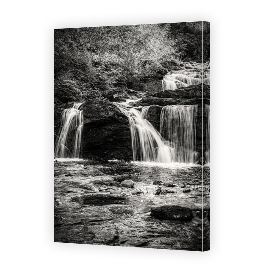 Thumbnail for Canvas - Mirror Image Canvas Wrap