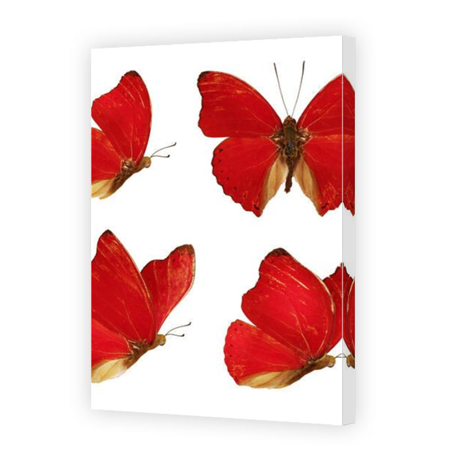 Thumbnail for Canvas - Mirror Image Canvas Wrap