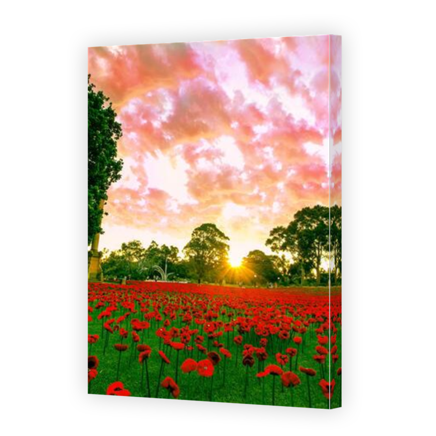 Thumbnail for Canvas - Mirror Image Canvas Wrap