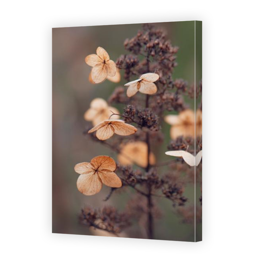 Thumbnail for Canvas - Mirror Image Canvas Wrap